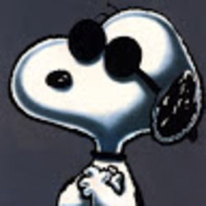 Meet your Posher, Joe